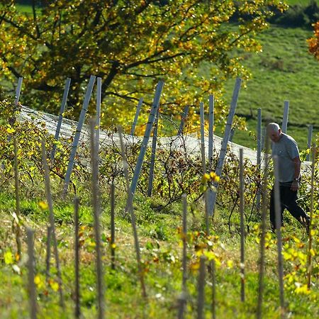 Winnica Agat Świerzawa Exteriér fotografie